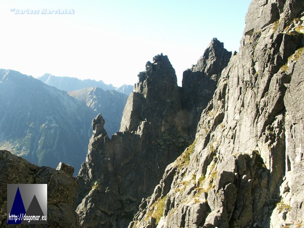 Żabi Mnich, Kapucyn i Lalka